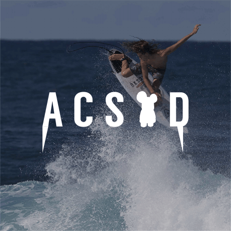 ACSOD – Hannah Firm Shop